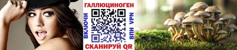 Псилоцибиновые грибы Magic Shrooms Полысаево